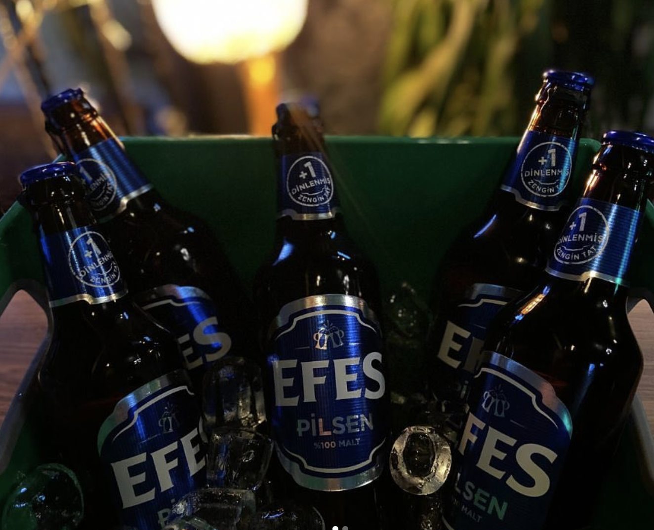 5 Efes Pilsen + Söğüş + Fıstık	