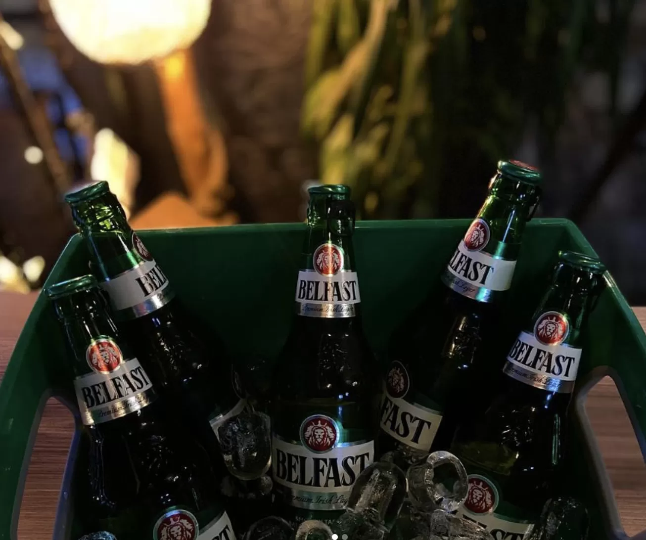 6'lı Belfast Kova